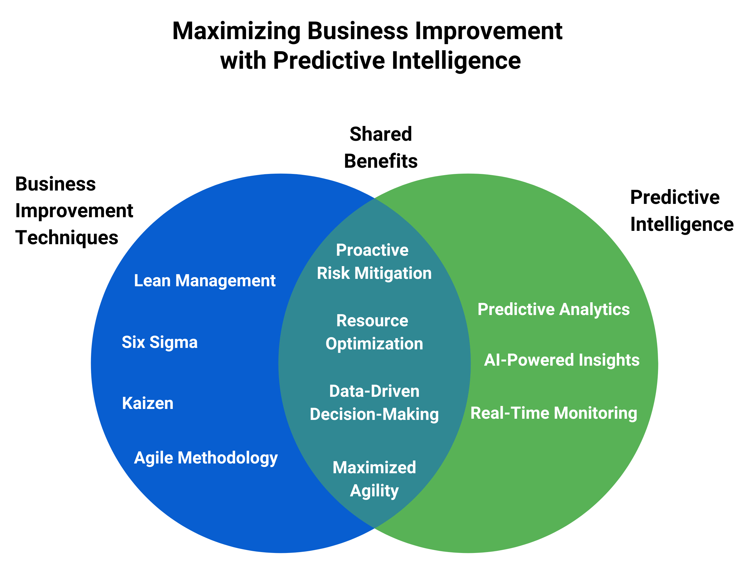 Business Improvement Techniques