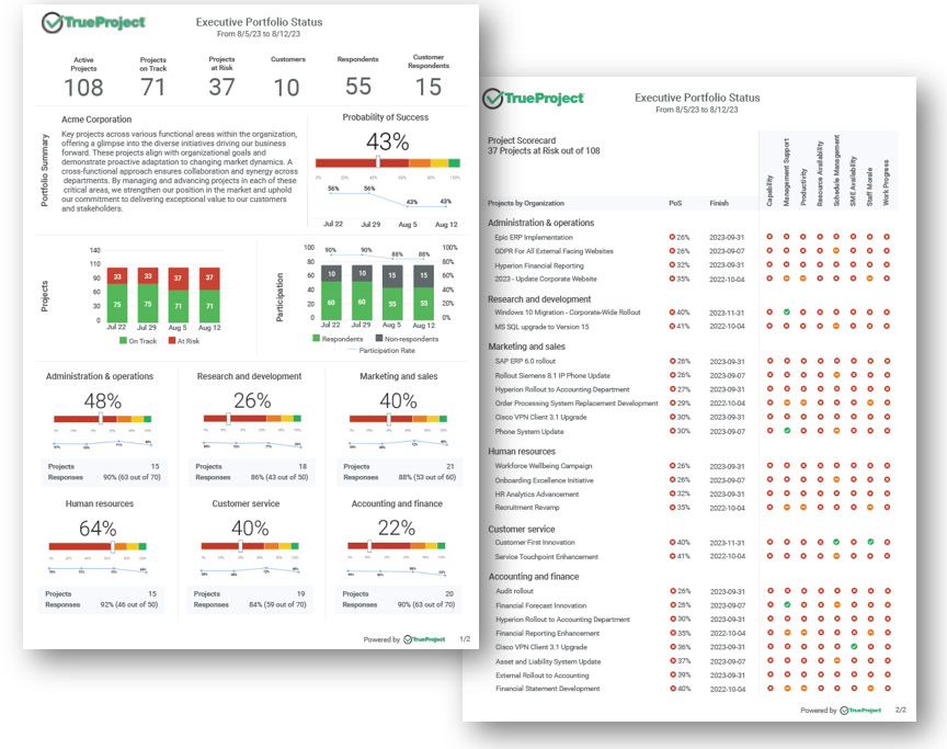 executive project dashboard