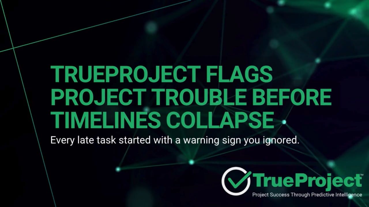 TrueProject Flags Project Trouble